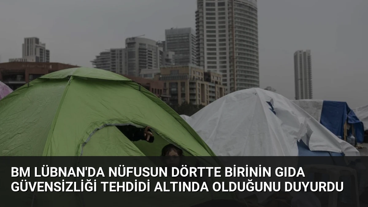 BM Lübnan’da Nüfusun Dörtte Birinin Gıda Güvensizliği Tehdidi Altında Olduğunu Duyurdu