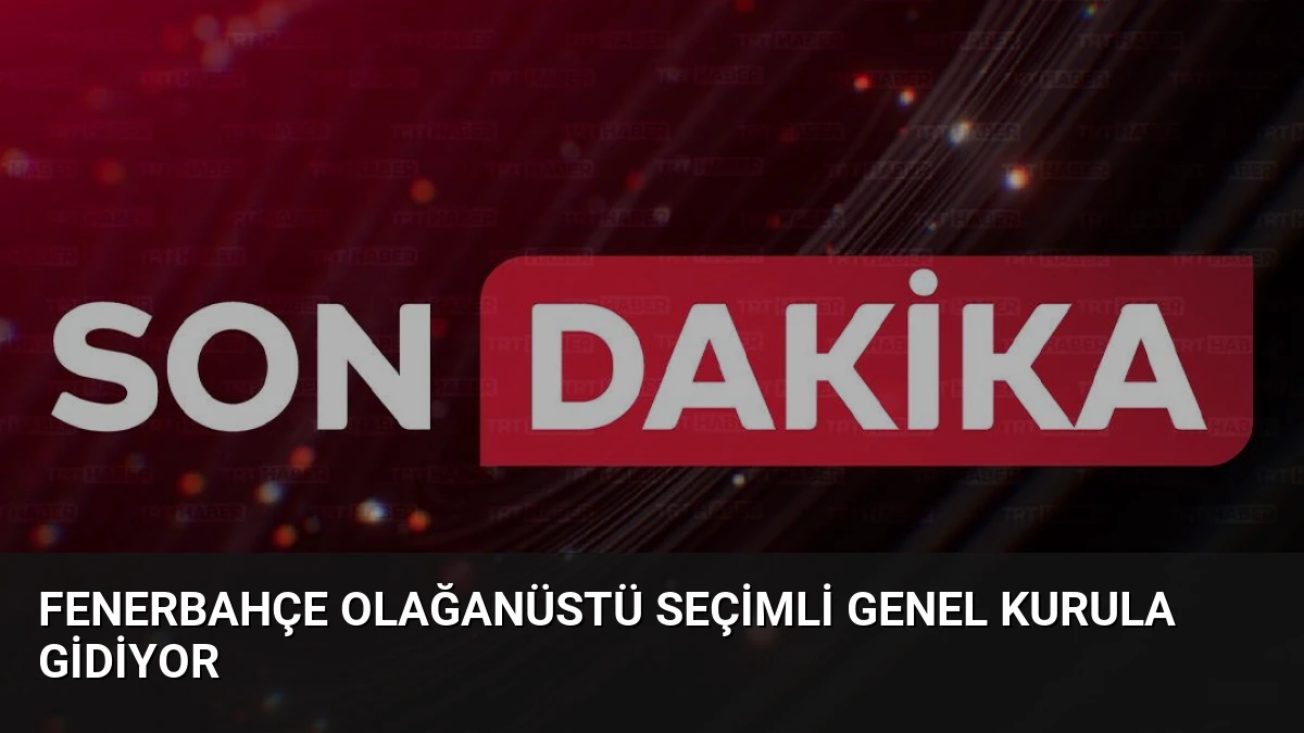 Fenerbahçe Olağanüstü Seçimli Genel Kurula Gidiyor