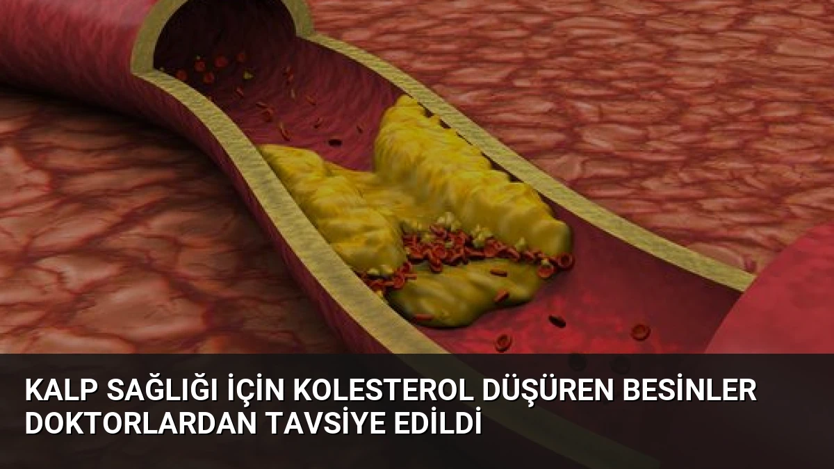 Kalp Sağlığı İçin Kolesterol Düşüren Besinler Doktorlardan Tavsiye Edildi