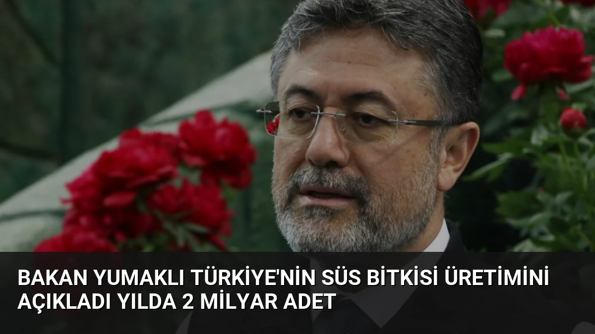 Bakan Yumaklı Türkiye’nin Süs Bitkisi Üretimini Açıkladı Yılda 2 Milyar Adet
