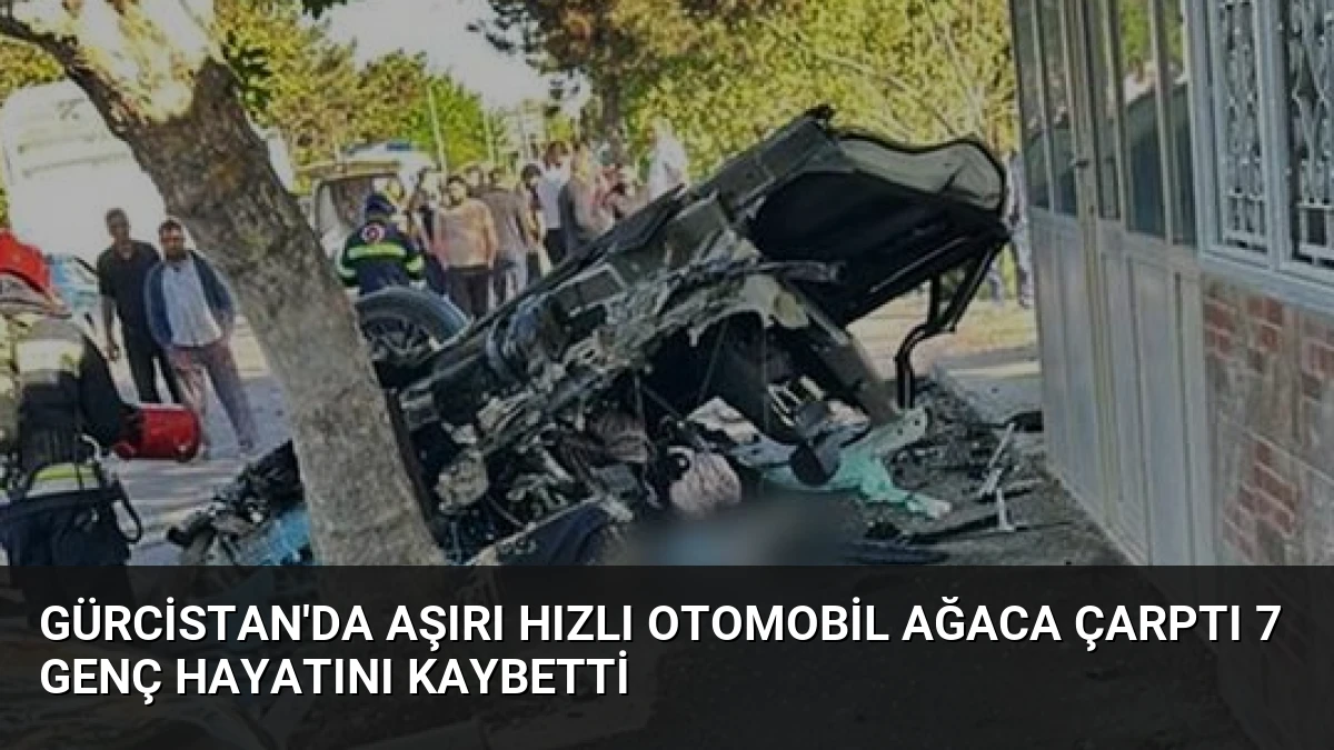 Gürcistan’da Aşırı Hızlı Otomobil Ağaca Çarptı 7 Genç Hayatını Kaybetti