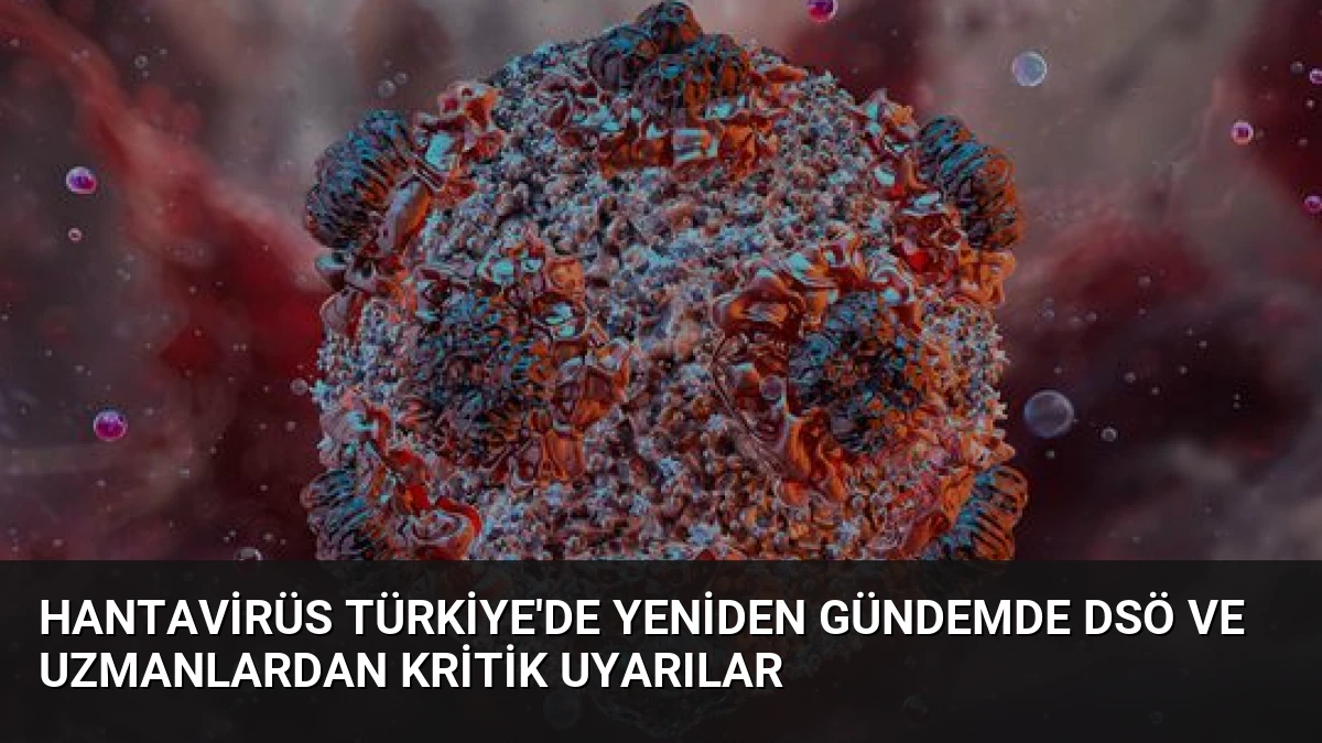 Hantavirüs Türkiye’de Yeniden Gündemde DSÖ ve Uzmanlardan Kritik Uyarılar