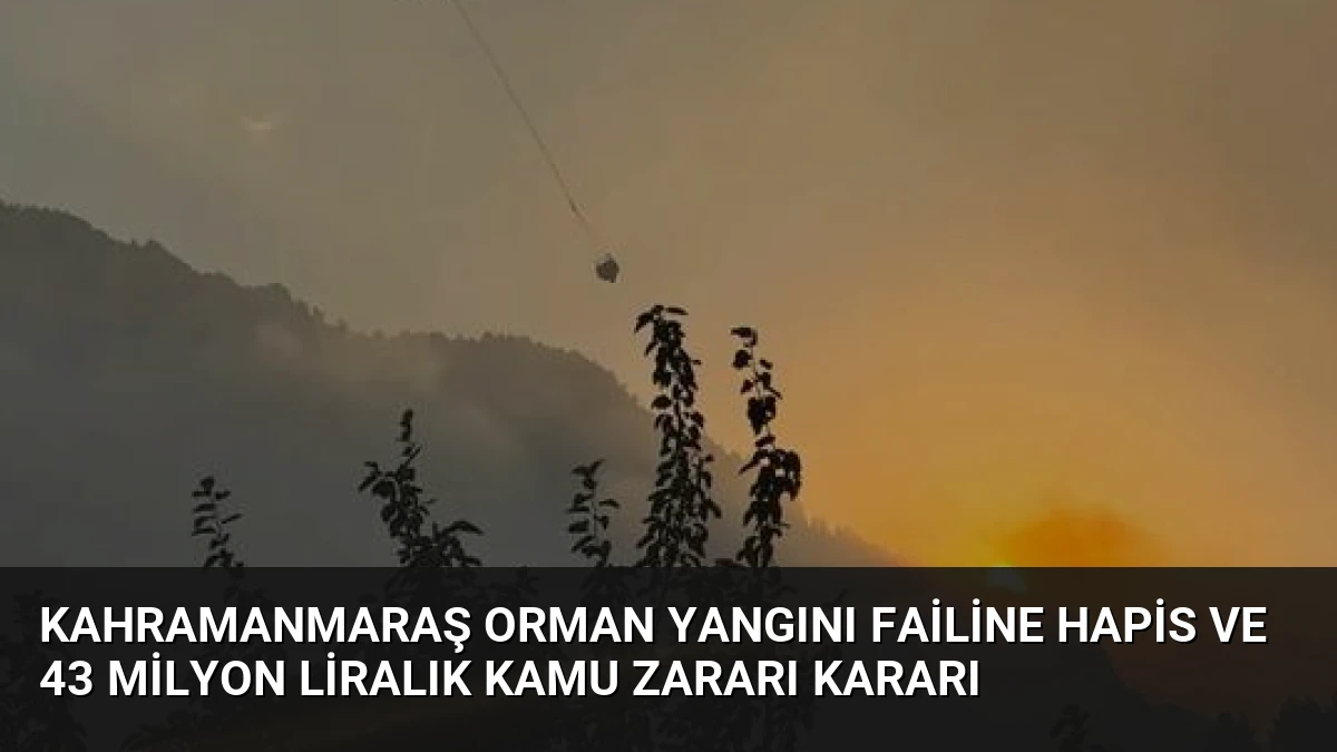 Kahramanmaraş Orman Yangını Failine Hapis ve 43 Milyon Liralık Kamu Zararı Kararı