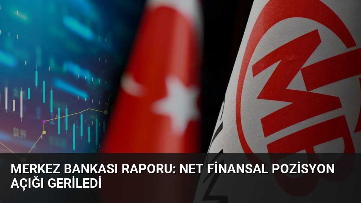 Merkez Bankası Raporu: Net Finansal Pozisyon Açığı Geriledi