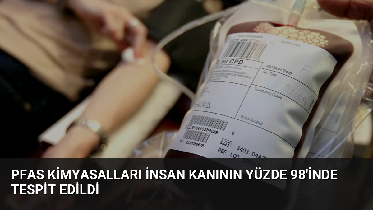 PFAS Kimyasalları İnsan Kanının Yüzde 98’inde Tespit Edildi