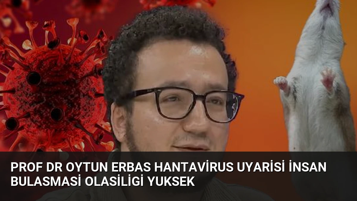 Prof Dr Oytun Erbas Hantavirus Uyarisi İnsan Bulasmasi Olasiligi Yuksek