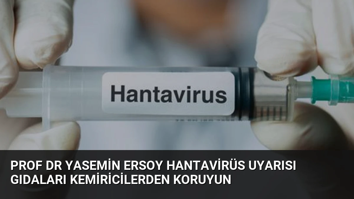Prof Dr Yasemin Ersoy Hantavirüs Uyarısı Gıdaları Kemiricilerden Koruyun