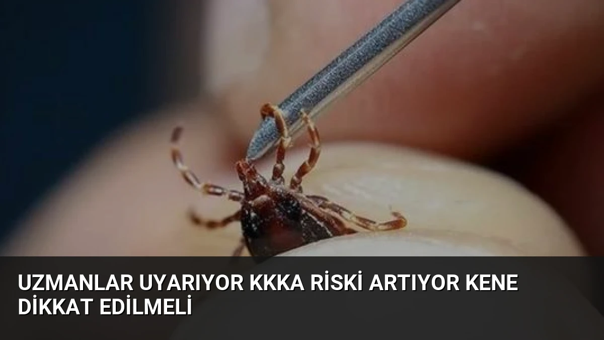 Uzmanlar Uyarıyor KKKA Riski Artıyor Kene Dikkat Edilmeli