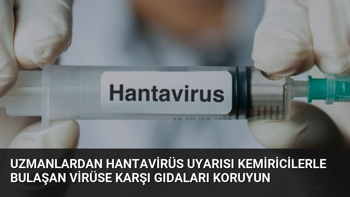 Uzmanlardan Hantavirüs Uyarısı Kemiricilerle Bulaşan Virüse Karşı Gıdaları Koruyun