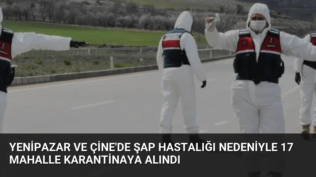 Yenipazar ve Çine’de Şap Hastalığı Nedeniyle 17 Mahalle Karantinaya Alındı