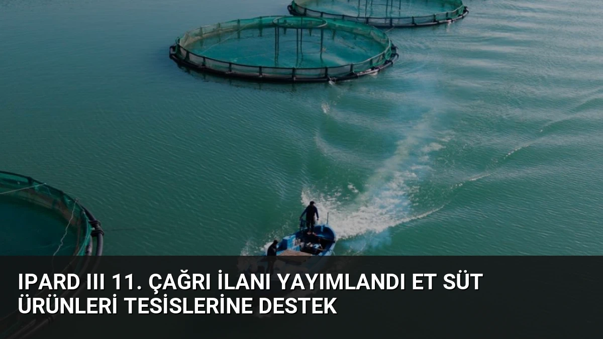IPARD III 11. Çağrı İlanı Yayımlandı Et Süt Ürünleri Tesislerine Destek