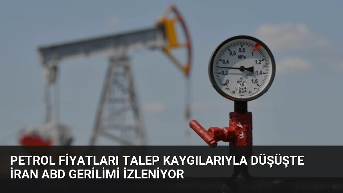 Petrol Fiyatları Talep Kaygılarıyla Düşüşte İran ABD Gerilimi İzleniyor