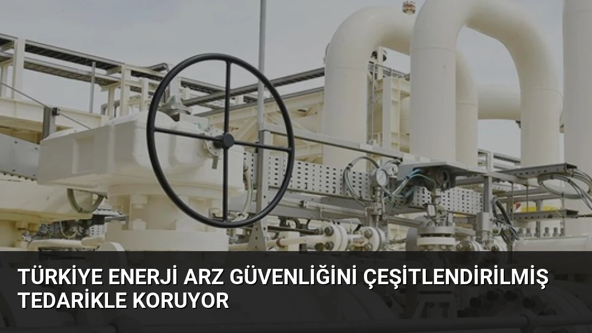 Türkiye Enerji Arz Güvenliğini Çeşitlendirilmiş Tedarikle Koruyor