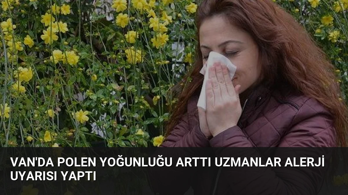 Van’da Polen Yoğunluğu Arttı Uzmanlar Alerji Uyarısı Yaptı