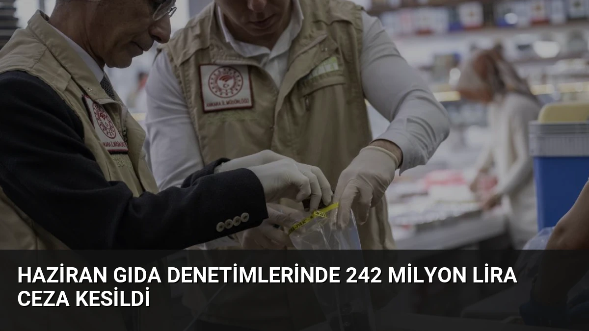 Haziran Gıda Denetimlerinde 242 Milyon Lira Ceza Kesildi