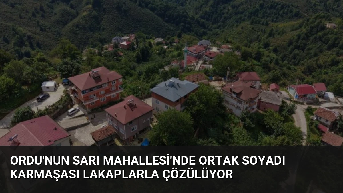 Ordu’nun Sarı Mahallesi’nde Ortak Soyadı Karmaşası Lakaplarla Çözülüyor