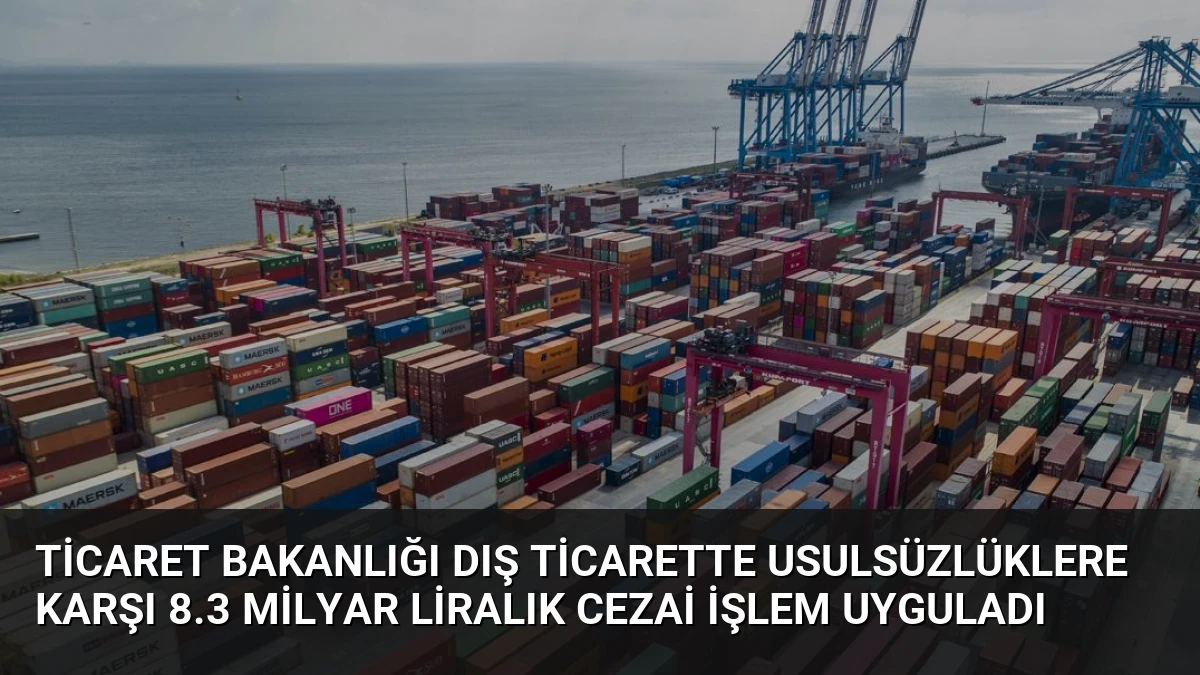 Ticaret Bakanlığı Dış Ticarette Usulsüzlüklere Karşı 8.3 Milyar Liralık Cezai İşlem Uyguladı