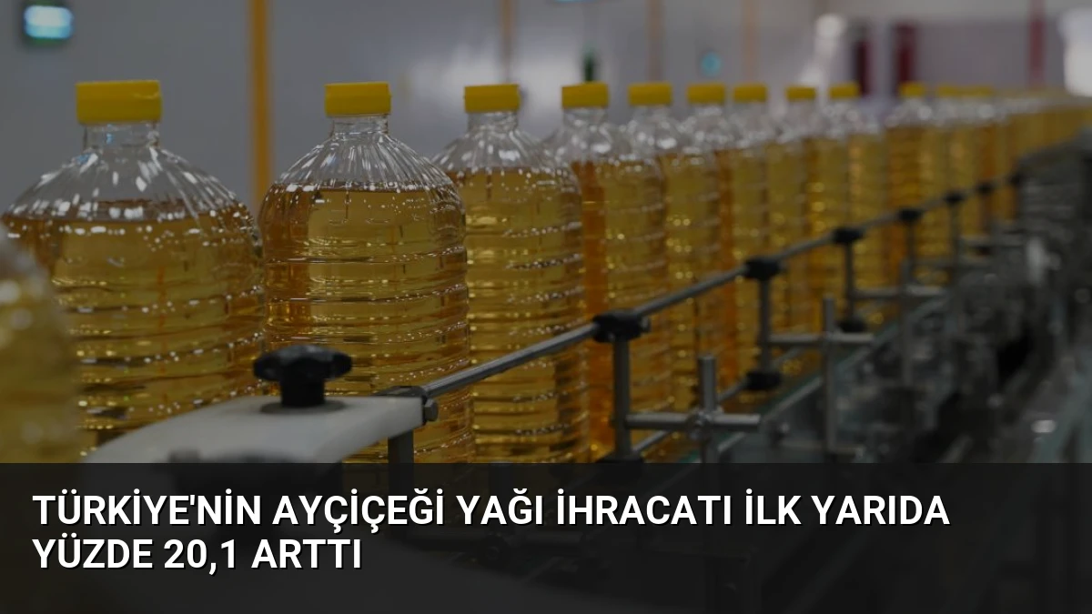 Türkiye’nin Ayçiçeği Yağı İhracatı İlk Yarıda Yüzde 20,1 Arttı