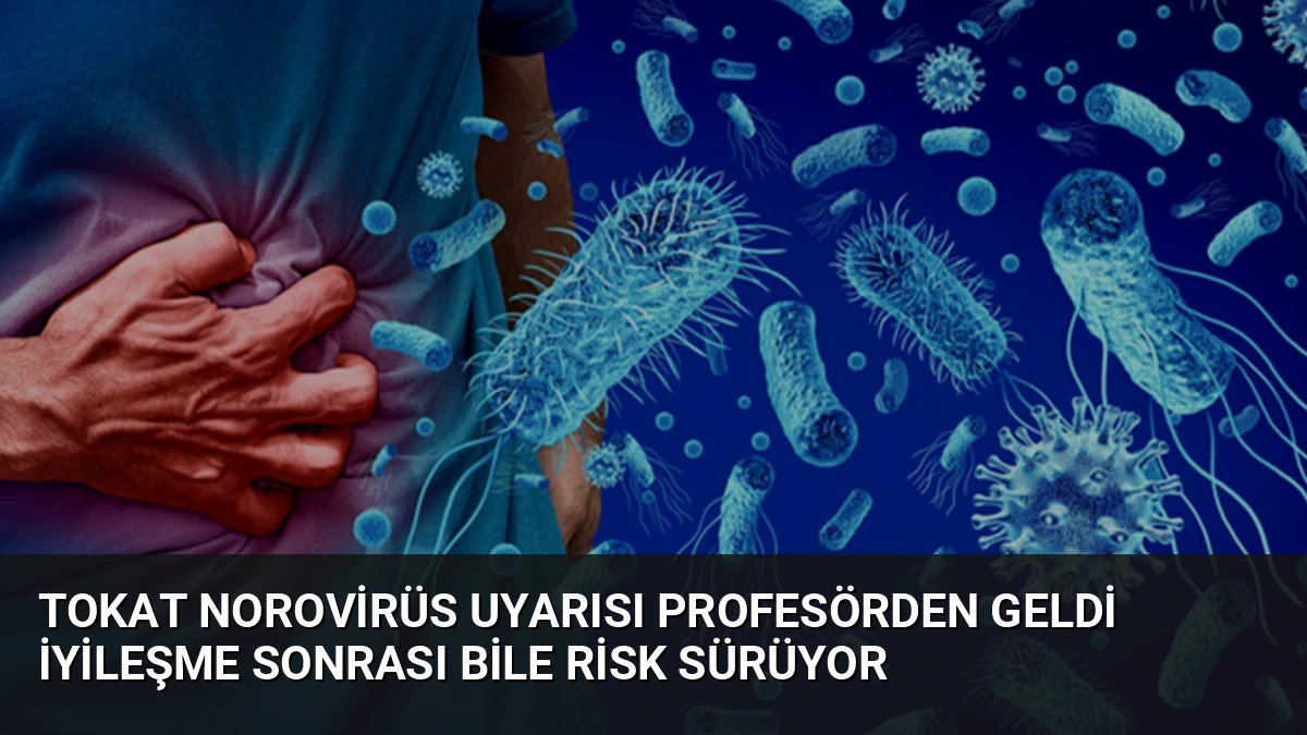 Tokat Norovirüs Uyarısı Profesörden Geldi İyileşme Sonrası Bile Risk Sürüyor