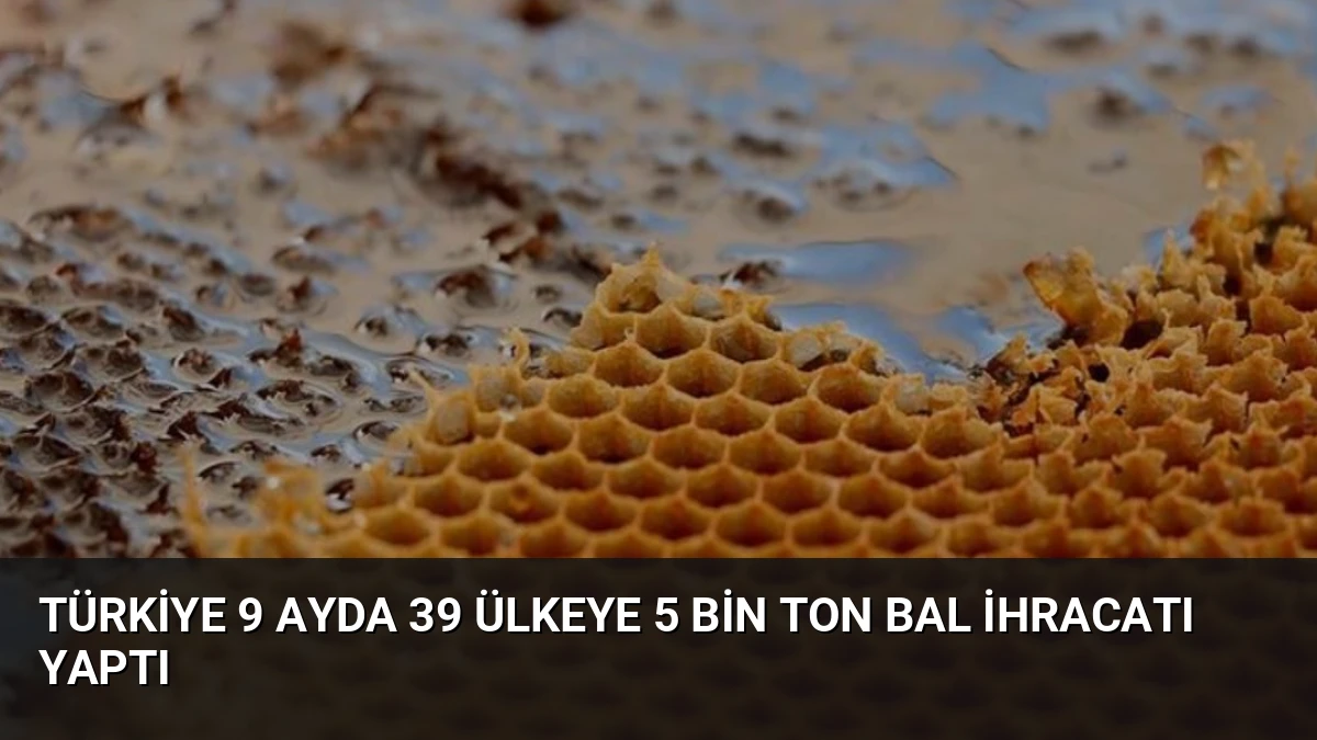 Türkiye 9 Ayda 39 Ülkeye 5 Bin Ton Bal İhracatı Yaptı