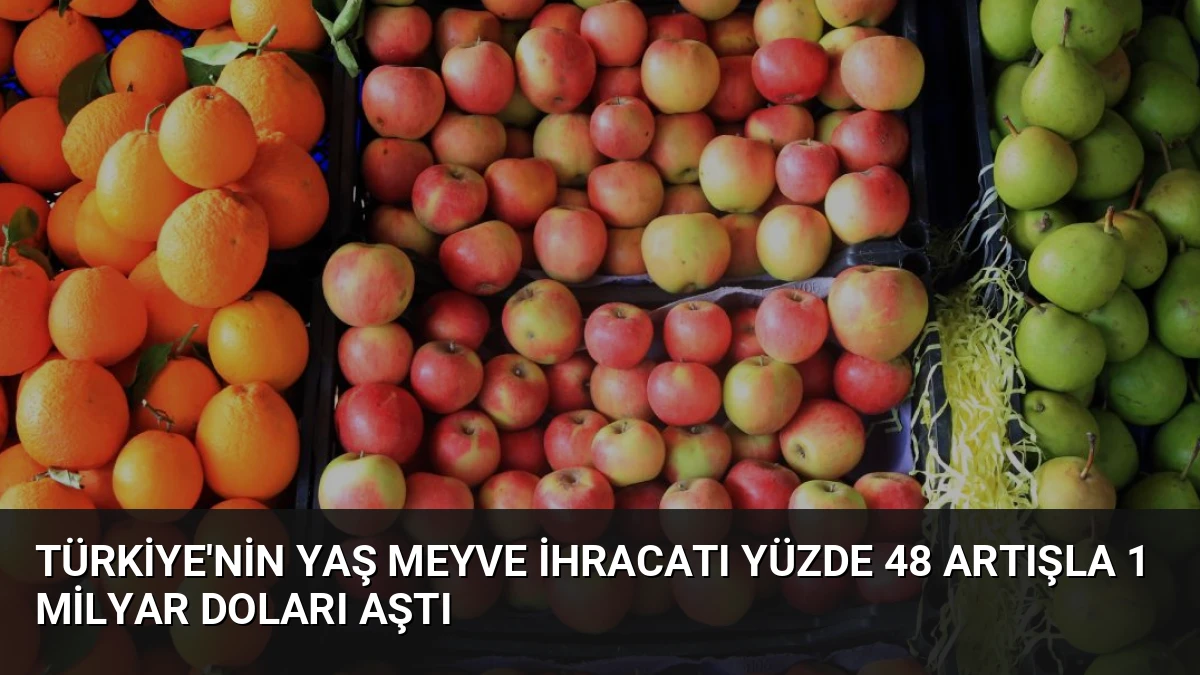 Türkiye’nin Yaş Meyve İhracatı Yüzde 48 Artışla 1 Milyar Doları Aştı