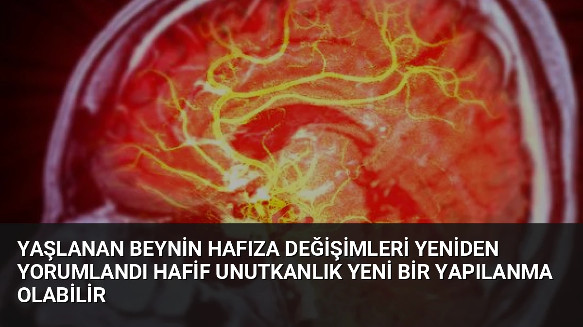 Yaşlanan Beynin Hafıza Değişimleri Yeniden Yorumlandı Hafif Unutkanlık Yeni Bir Yapılanma Olabilir